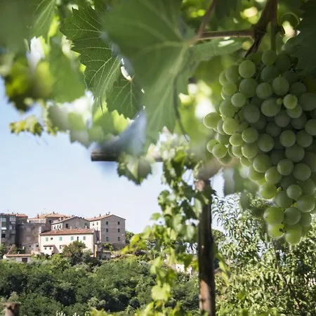 Country house La Casina Castagneto Carducci