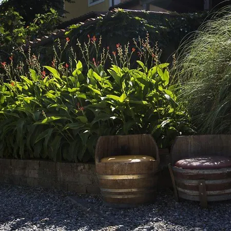 La Casina Country house Castagneto Carducci